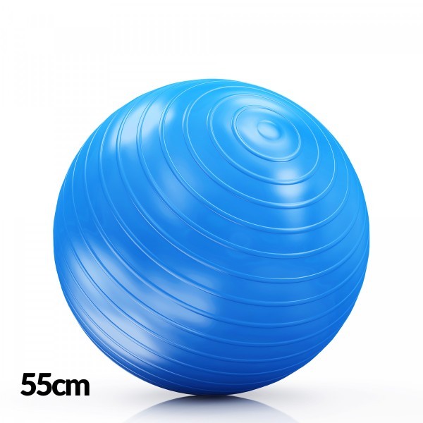 Lopta za Pilates 55cm - Više Boja