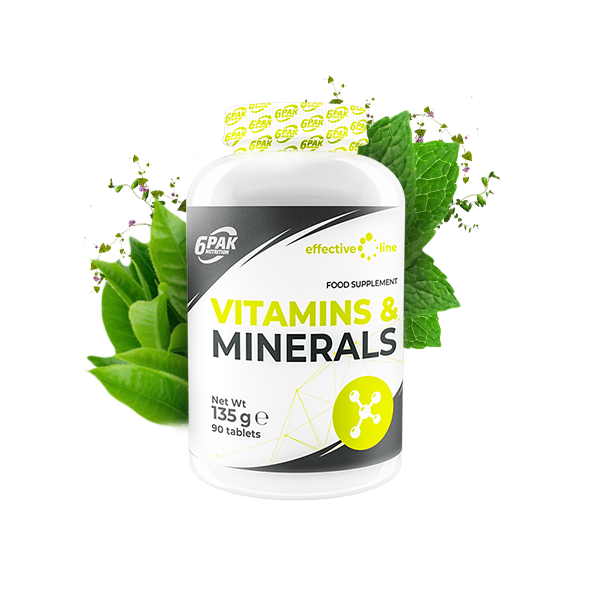 6Pak Vitamini i Minerali 90 tbl